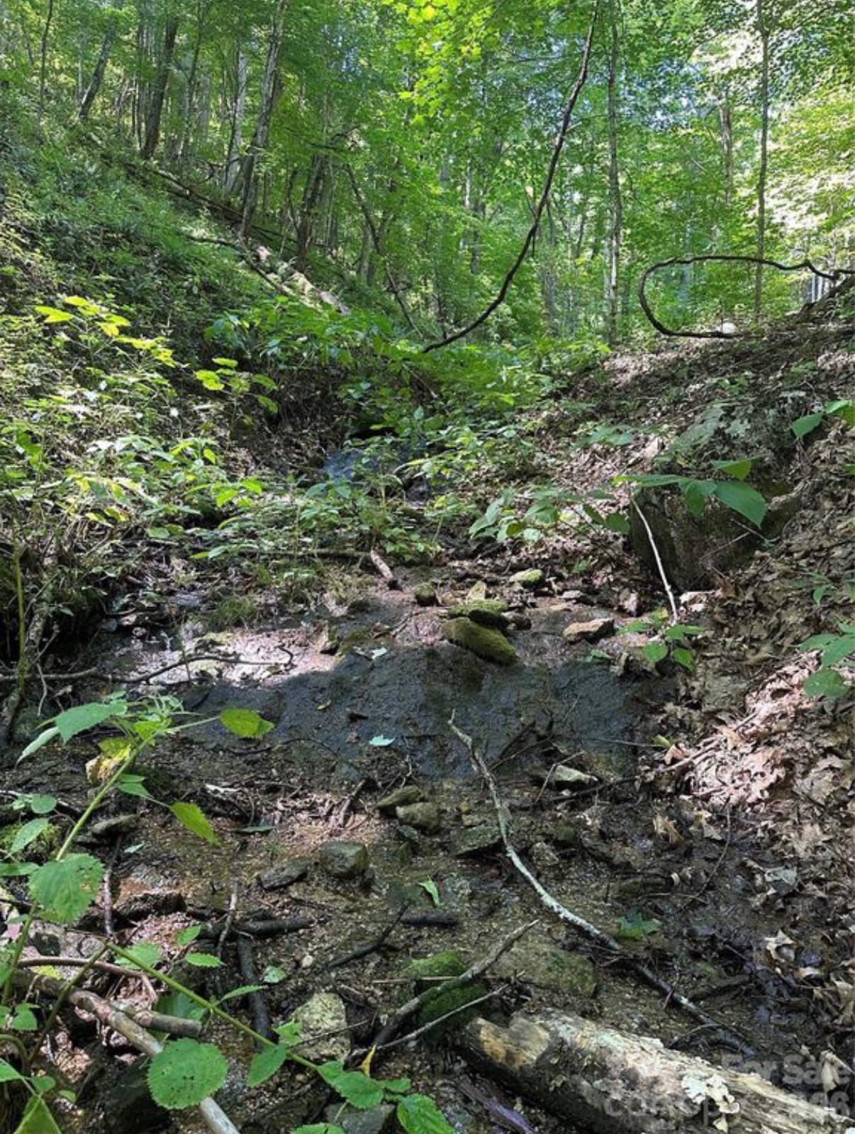 Flowing creek on the Running Bear Road property in Hot Springs, North Carolina